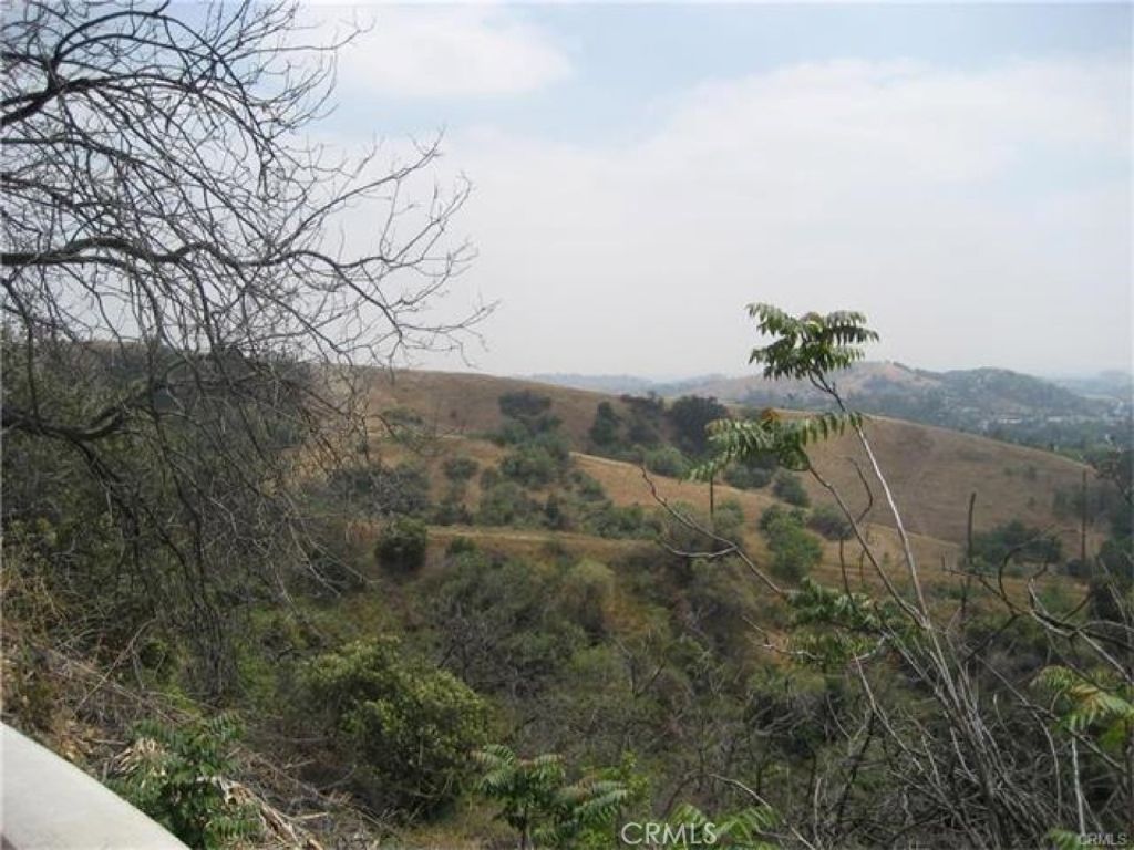 listing image 130723967757881314454