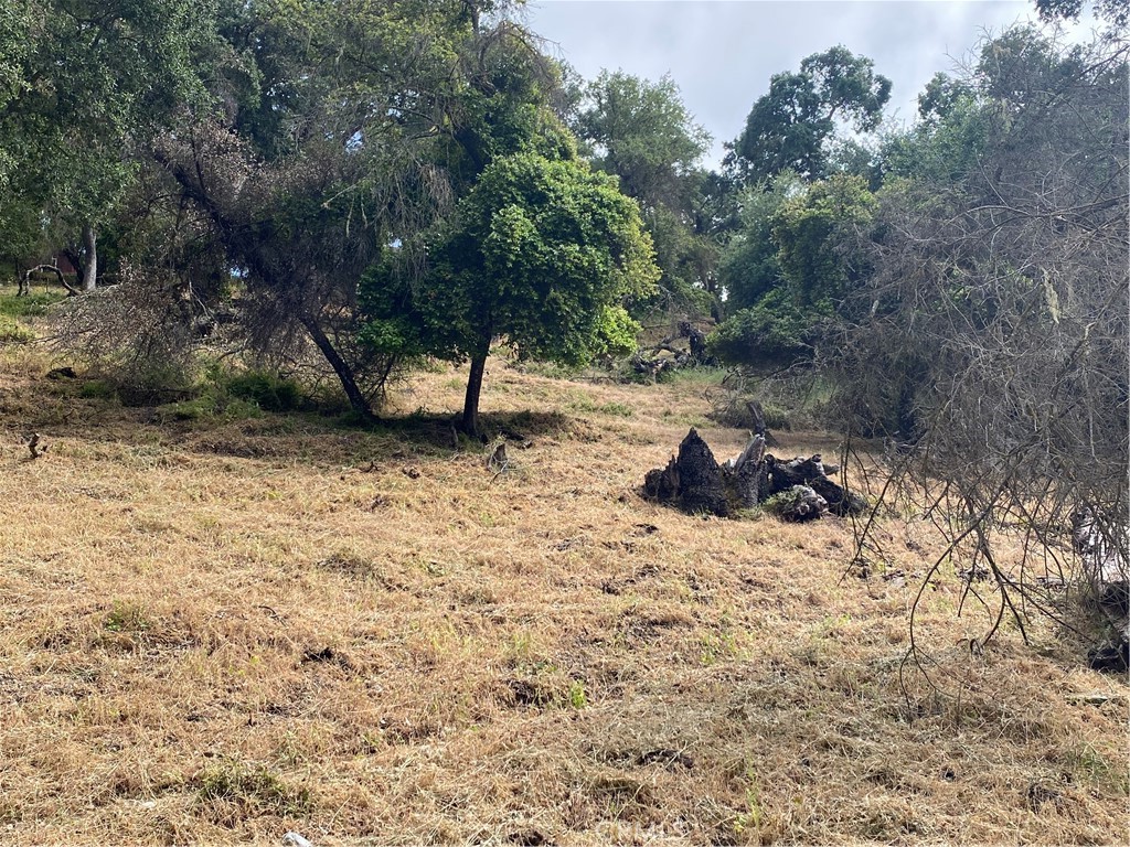 ATNorthwest(20) - Land