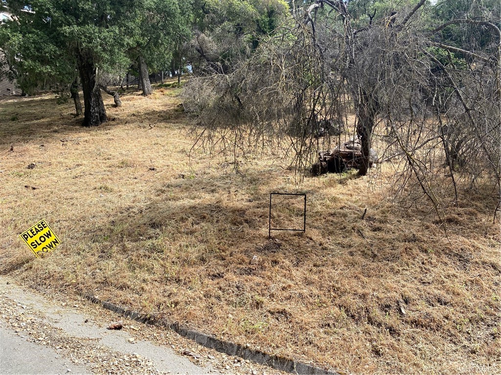 ATNorthwest(20) - Land