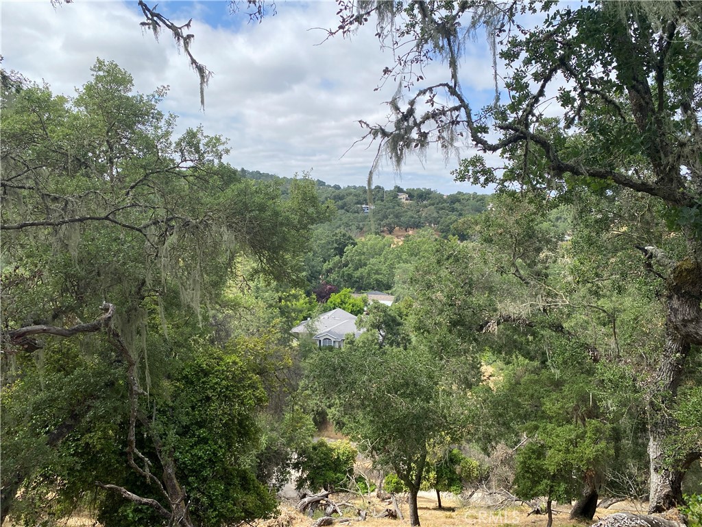 ATNorthwest(20) - Land