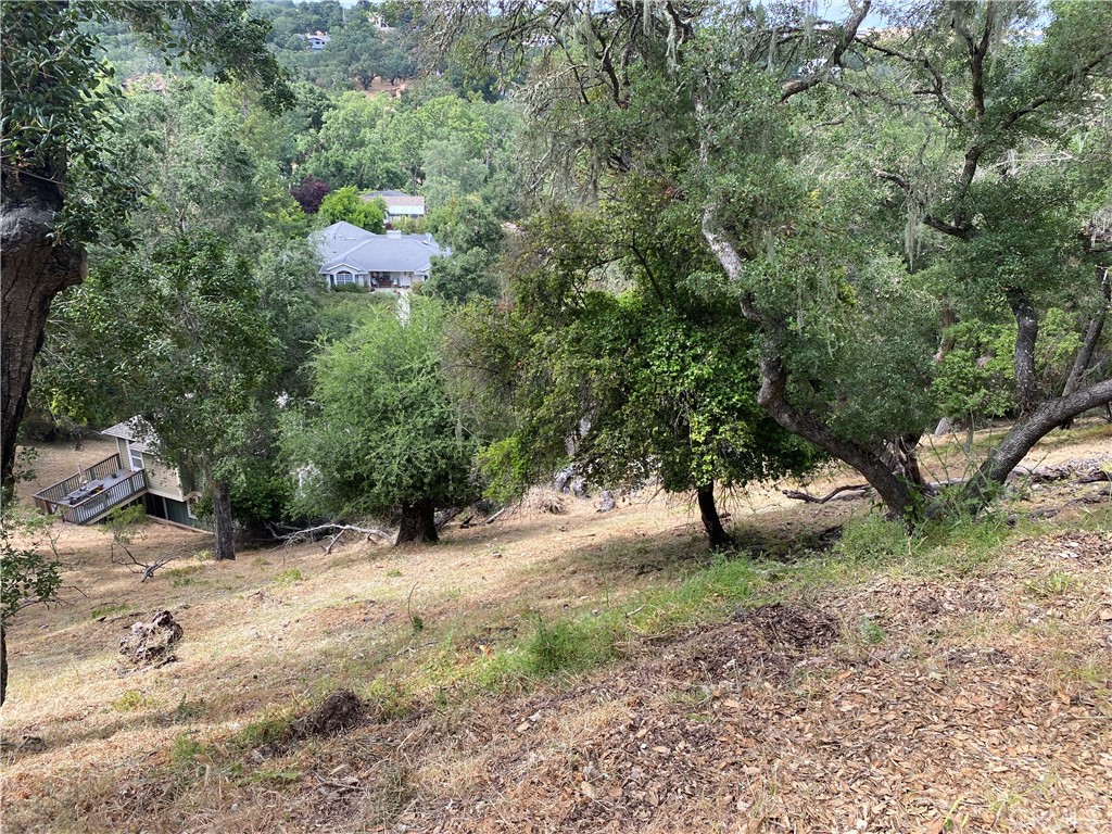 ATNorthwest(20) - Land