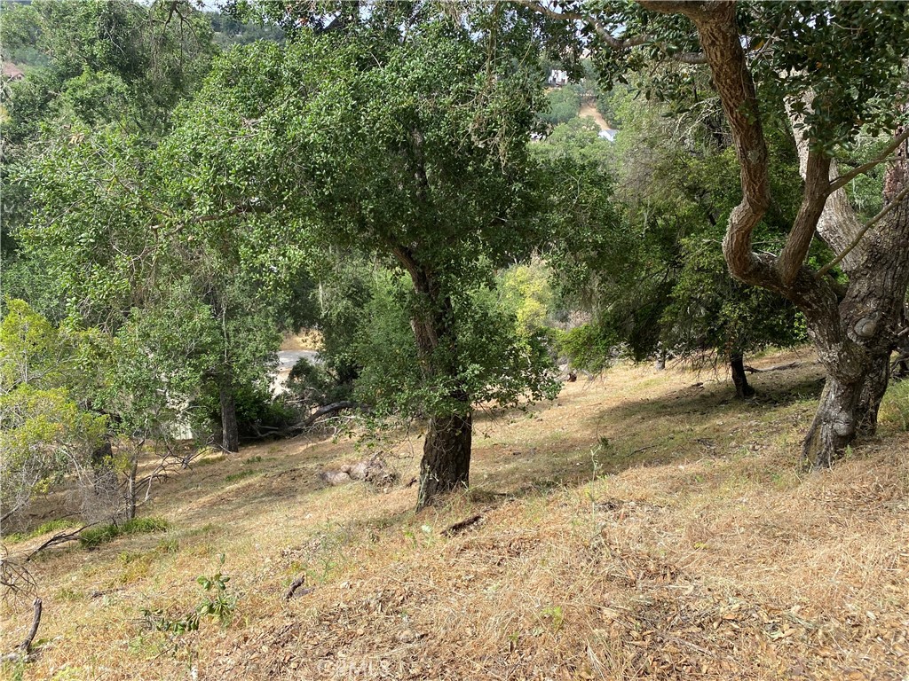 ATNorthwest(20) - Land