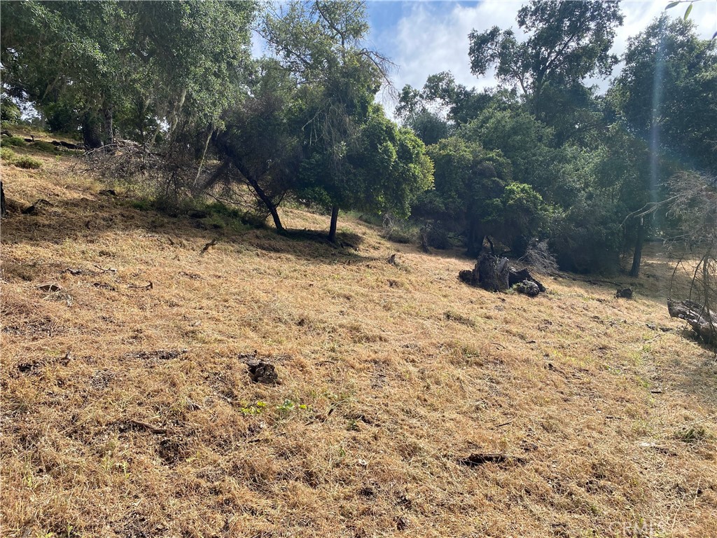 ATNorthwest(20) - Land