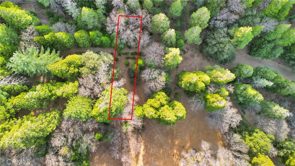 Enjoy nature on this wooded lot, sold as a bundle with contiguous parcels, APN: 0343-072-07-0000 and 0343-072-31-0000. Motivated Seller, Seller says SELL!
