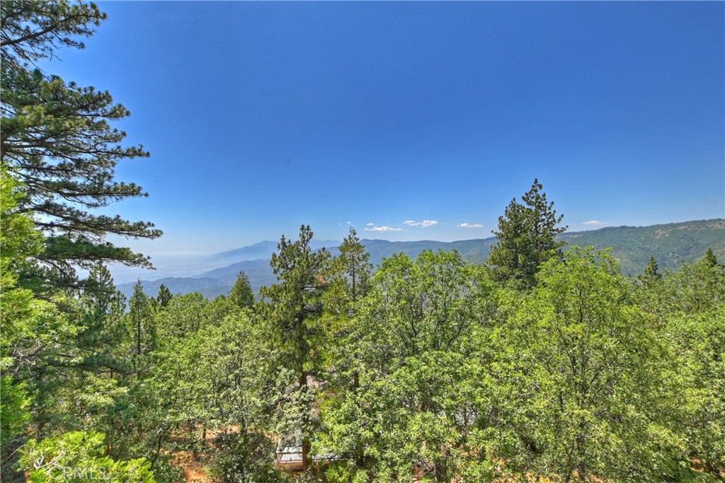 Enchanted Forest (ENFR) - Residential