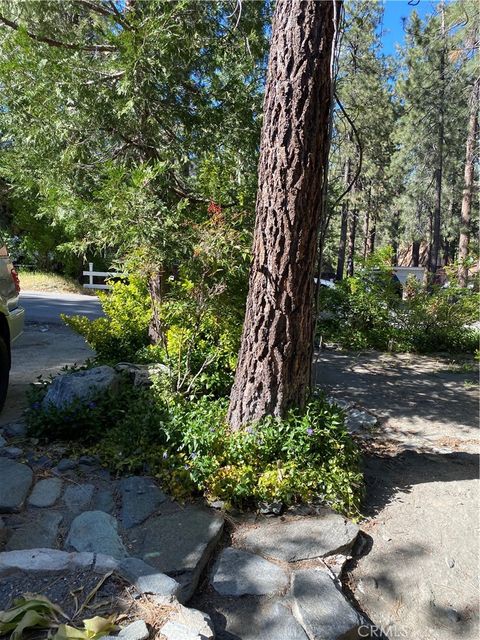 A home in Wrightwood