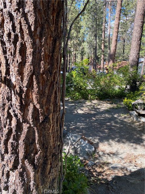 A home in Wrightwood