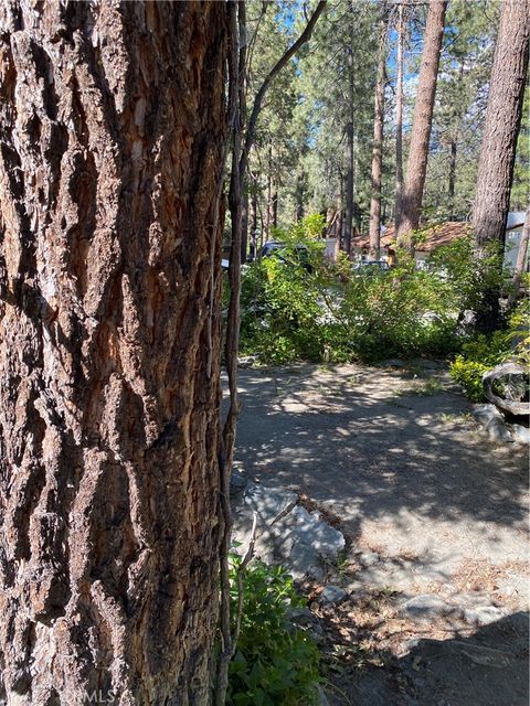 A home in Wrightwood