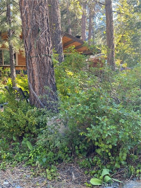 A home in Wrightwood