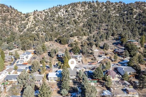 A home in Wrightwood