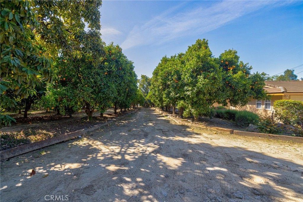 listing image 55