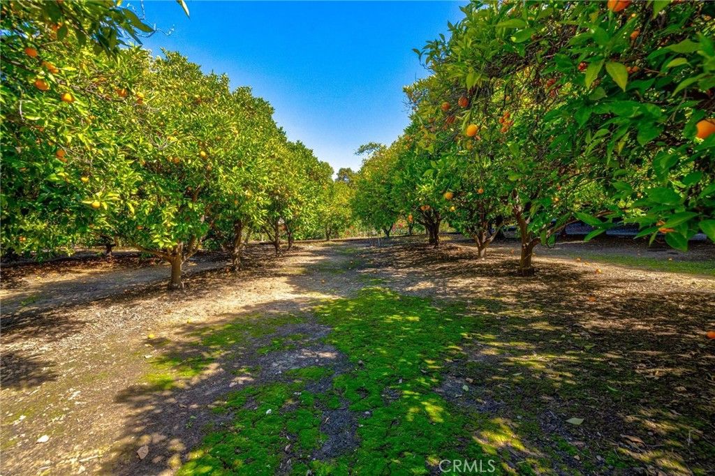 listing image 54