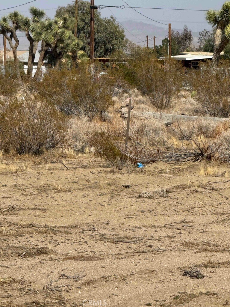 5520 Luna Road