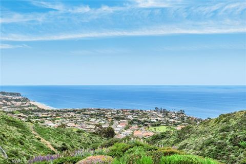 A home in Laguna Niguel