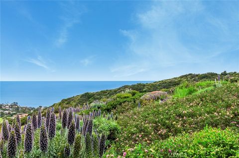 A home in Laguna Niguel