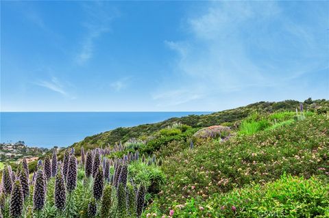 A home in Laguna Niguel