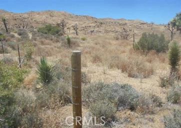 Looking for land to develop your dream home in? This is the perfect parcel for that! Or spend summer nights camping and stargaze into the midnight sky.