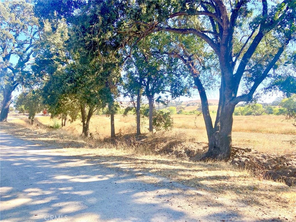 listing image 130729708081852454647