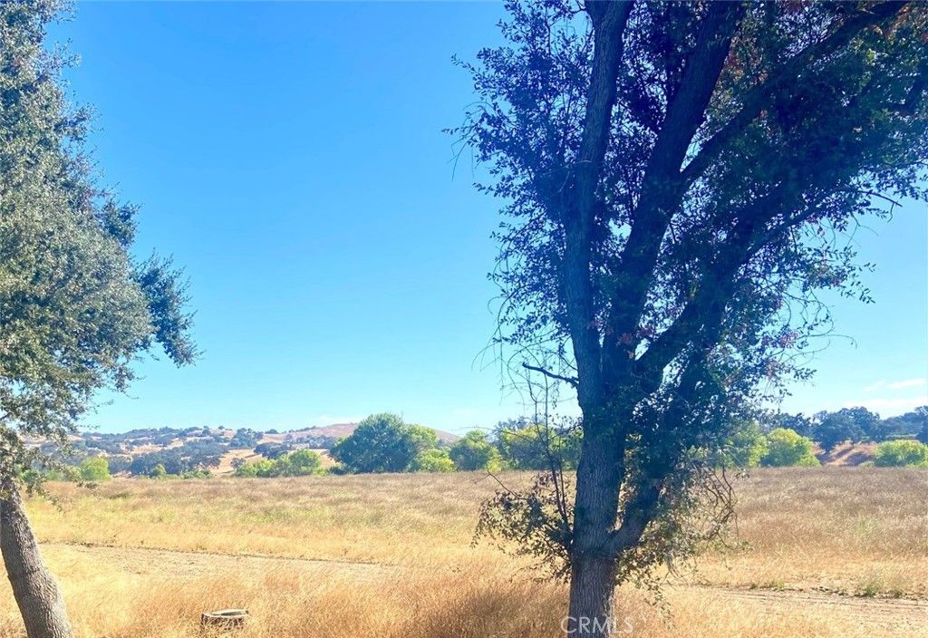 listing image 130725575609991680826