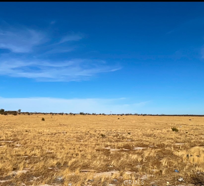 Great opportunity to own a large piece of land in Llano, CA. 10 Acre. Great investment property with so many possibilities. Don't miss out on this amazing opportunity.