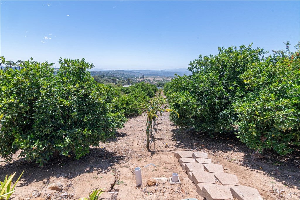 803 Quail Hill Road