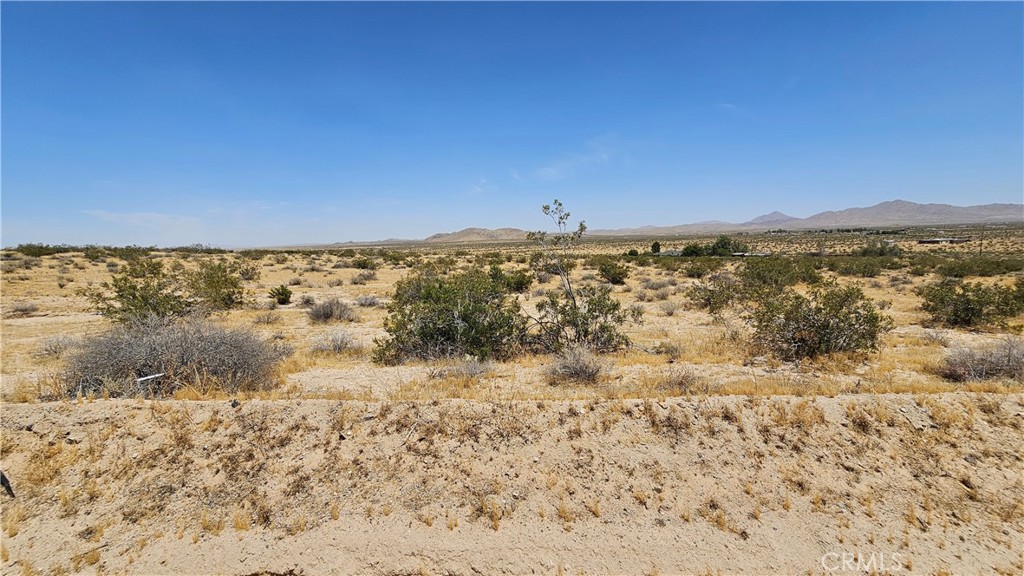 1 Buckhorn Trail