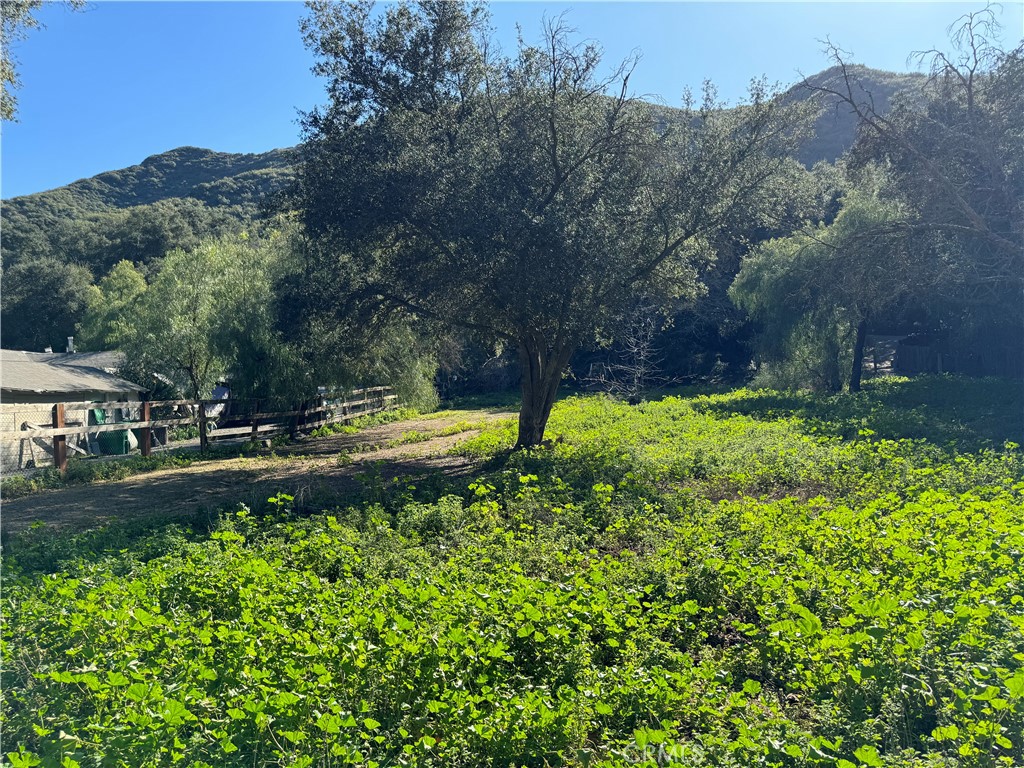 View Modjeska Canyon, CA 92676 property