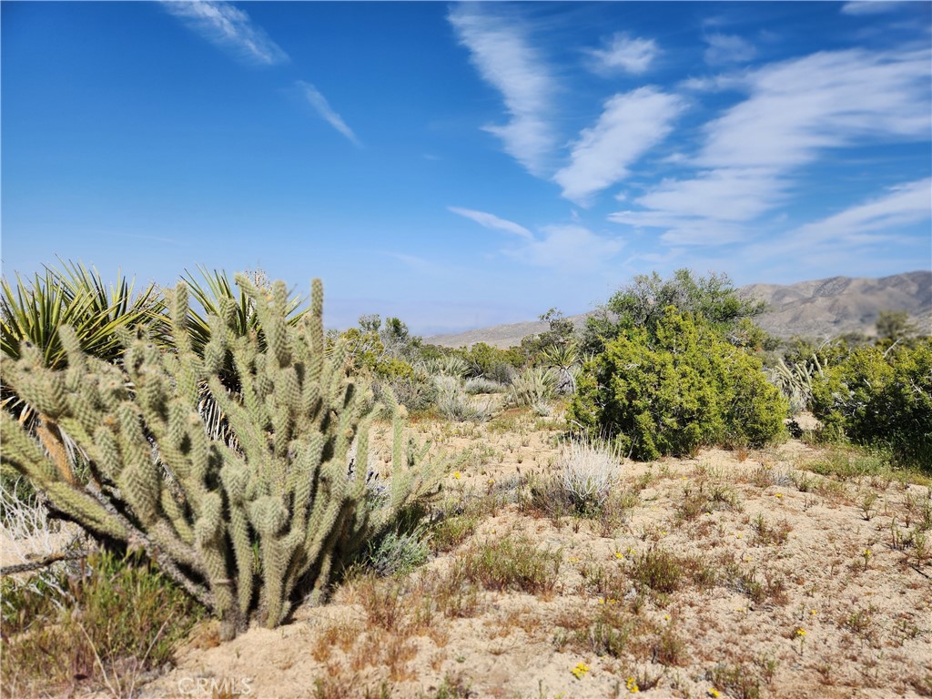 Pinyon Crest (32607) - Land