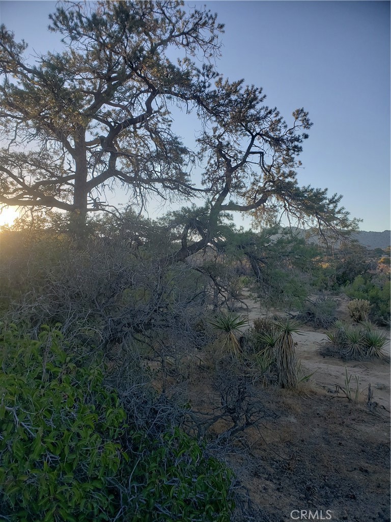 Pinyon Crest (32607) - Land