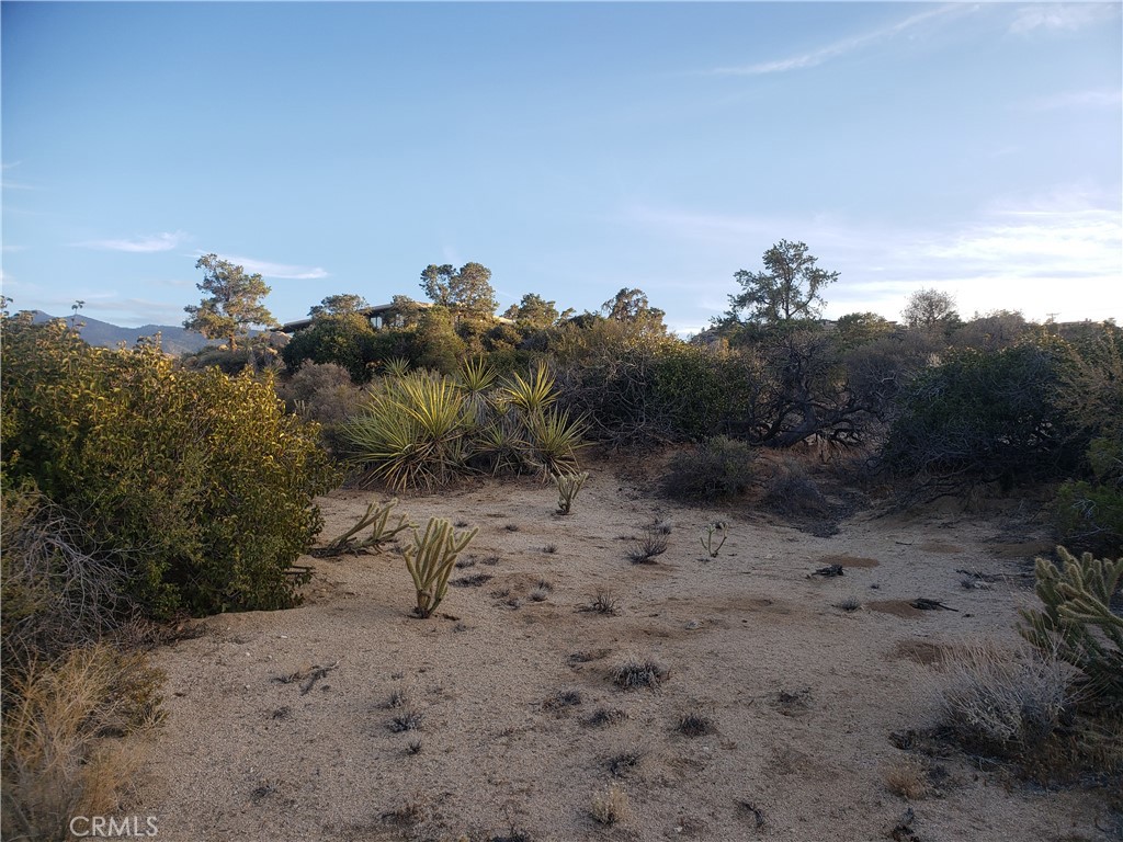 Pinyon Crest (32607) - Land