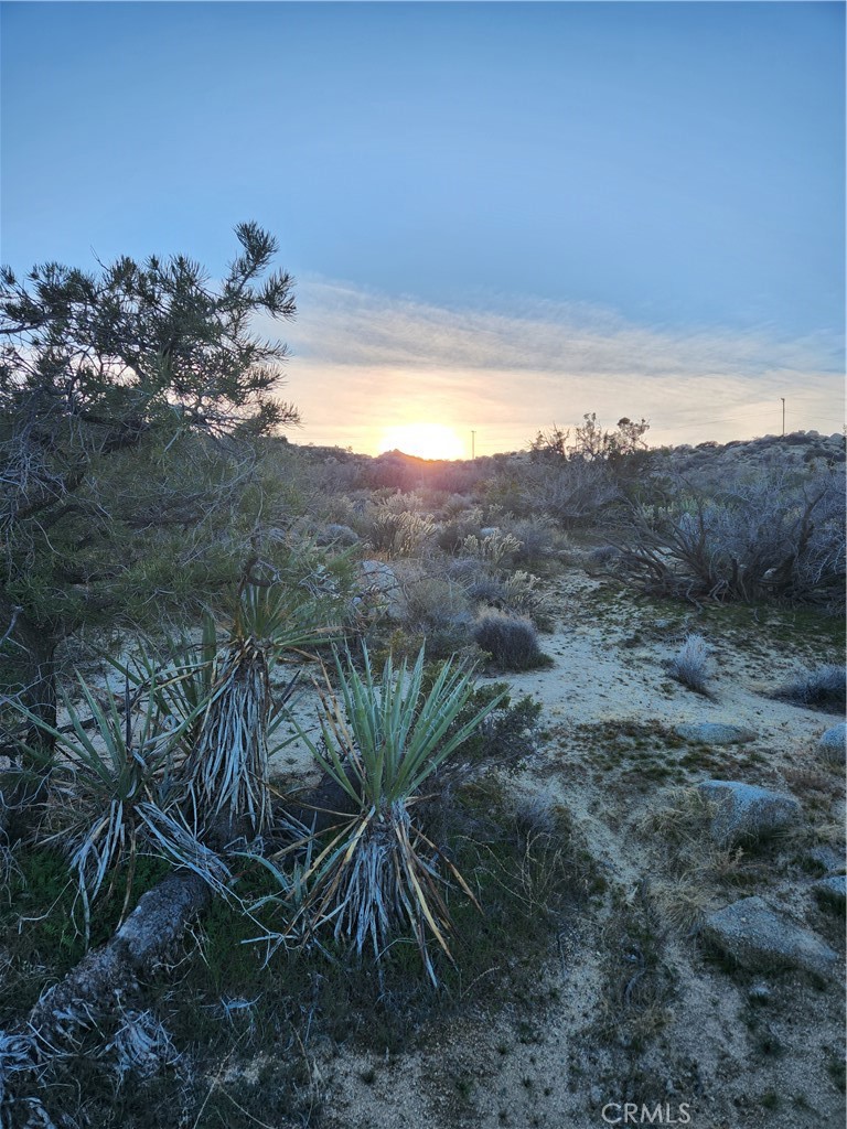 Pinyon Crest (32607) - Land