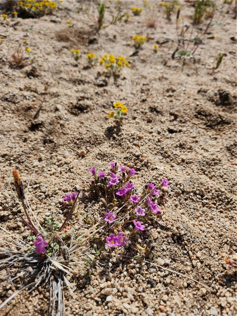 Pinyon Crest (32607) - Land