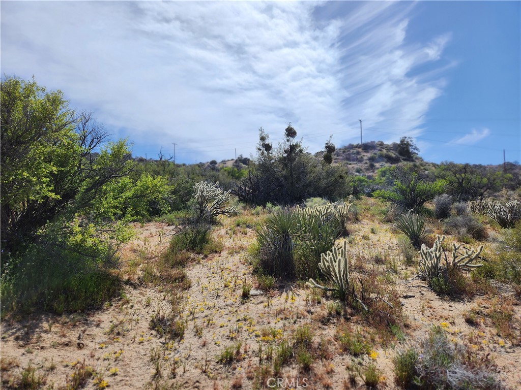 Pinyon Crest (32607) - Land