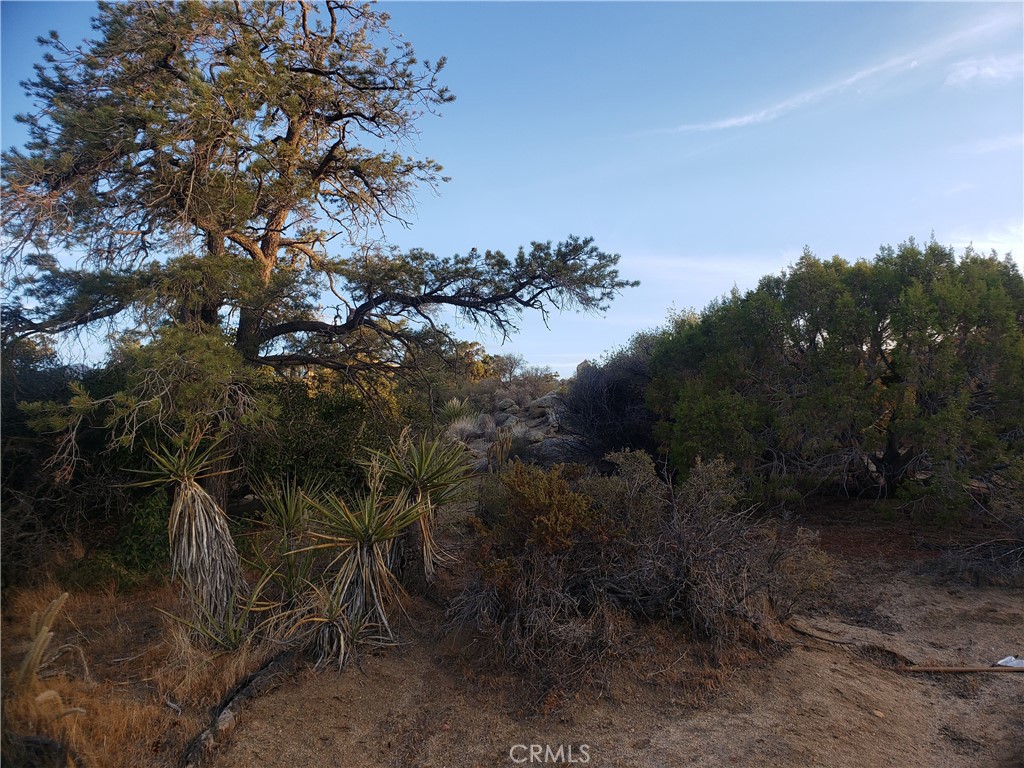 Pinyon Crest (32607) - Land