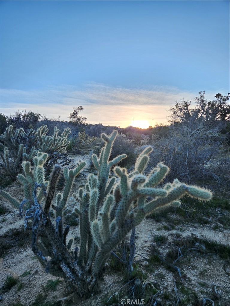 Pinyon Crest (32607) - Land
