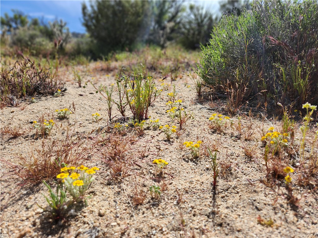 Pinyon Crest (32607) - Land