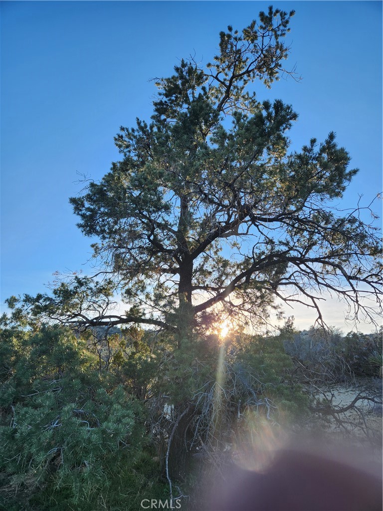 Pinyon Crest (32607) - Land