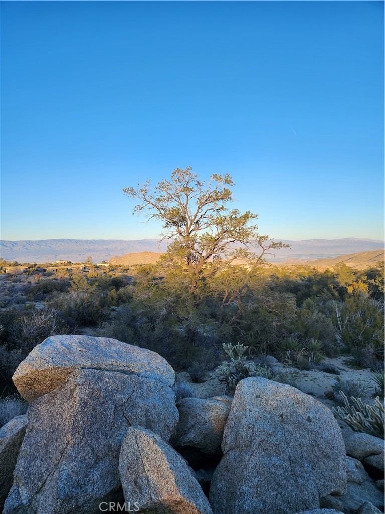 Pinyon Crest (32607) - Land