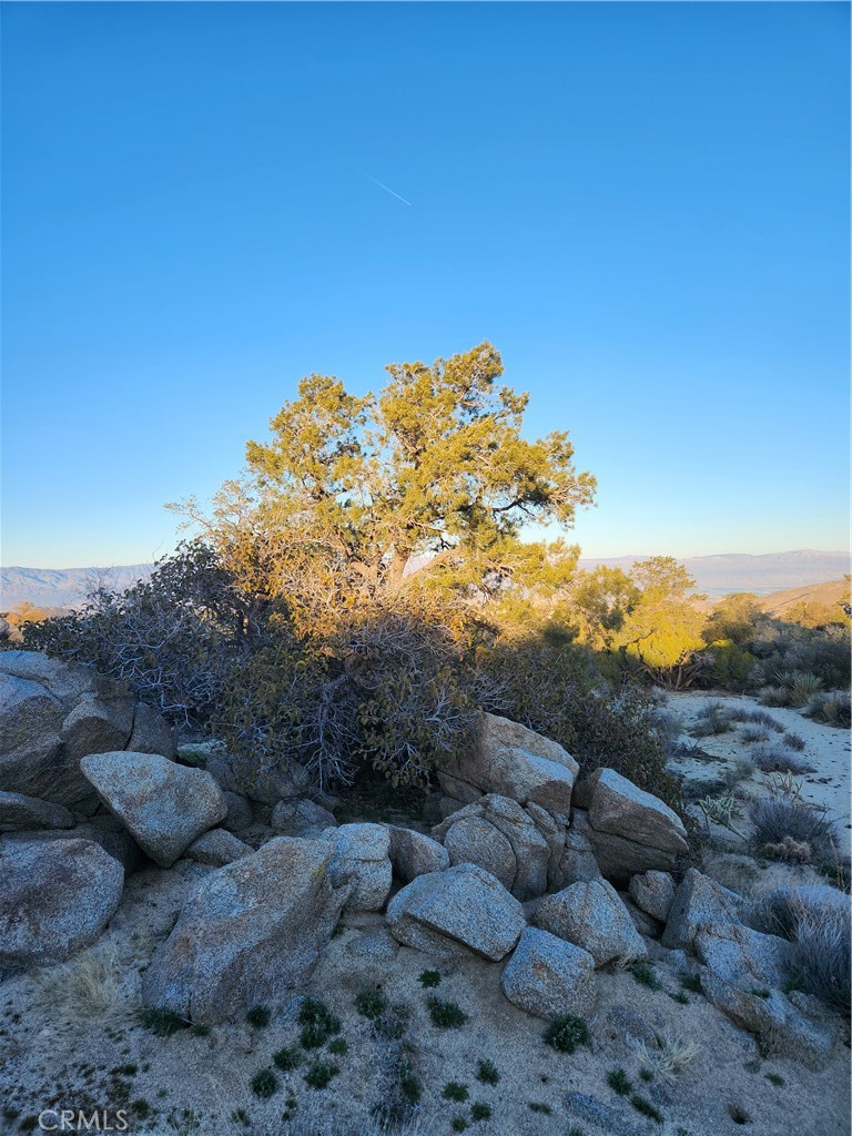Pinyon Crest (32607) - Land