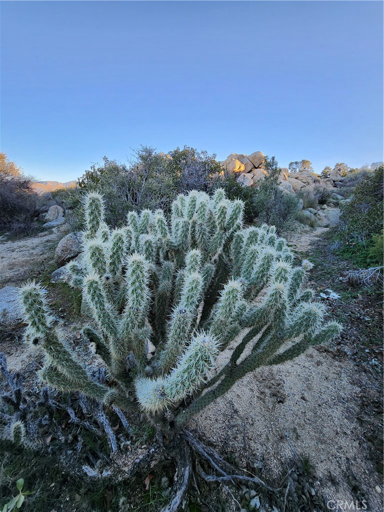 Pinyon Crest (32607) - Land