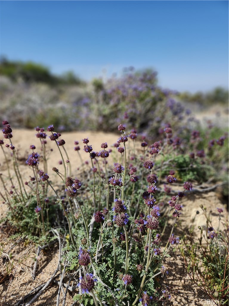 Pinyon Crest (32607) - Land