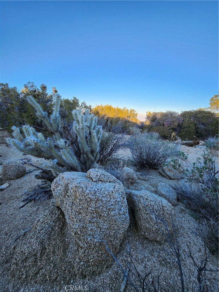 Pinyon Crest (32607) - Land