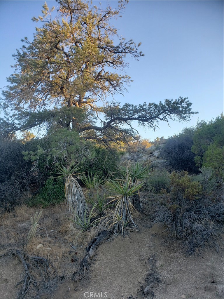 Pinyon Crest (32607) - Land