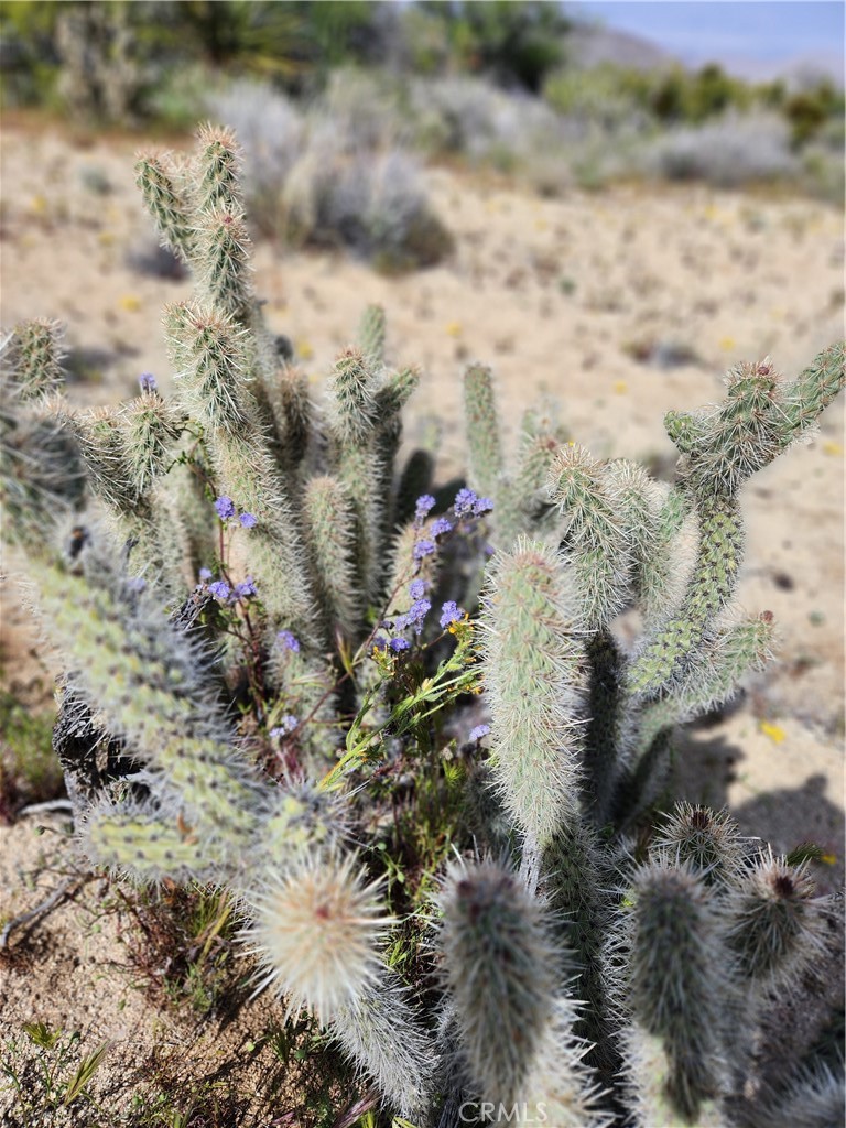 Pinyon Crest (32607) - Land