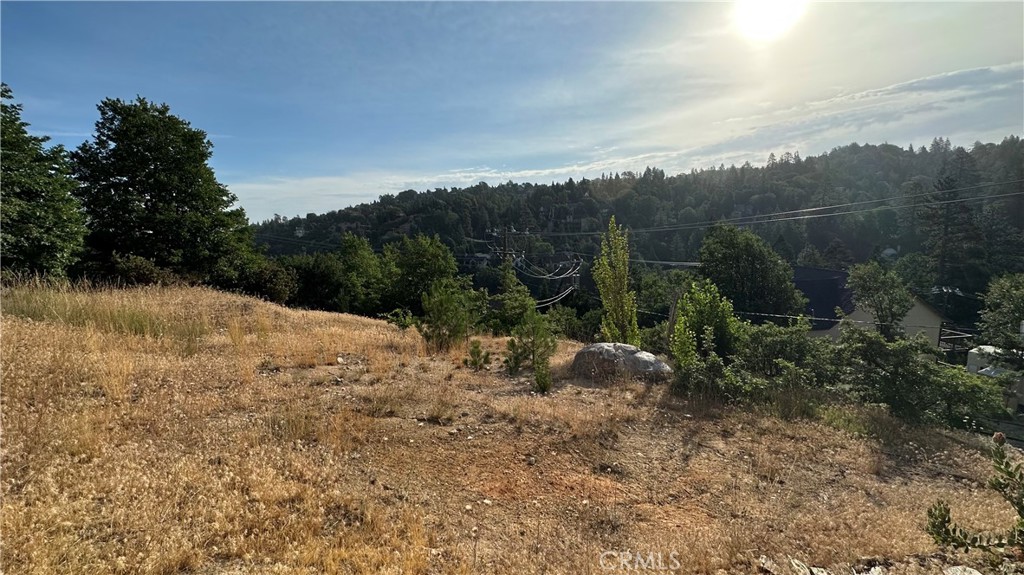 Arrowhead Woods (AWHW) - Land