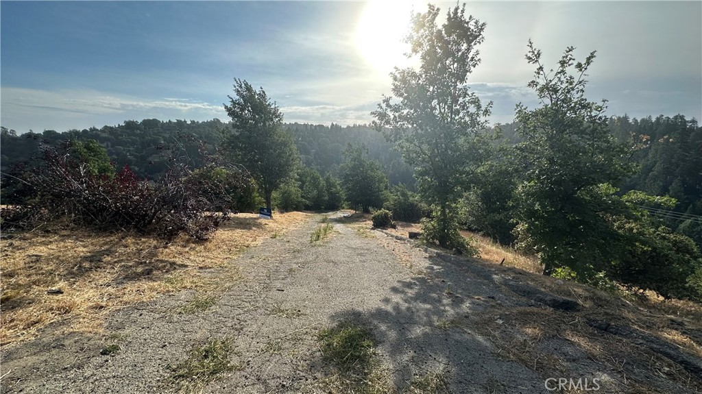 Arrowhead Woods (AWHW) - Land