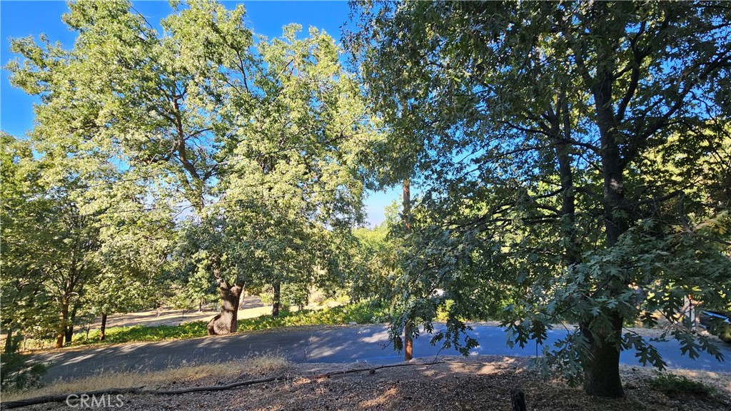 Smiley Park (SMPK) - Land