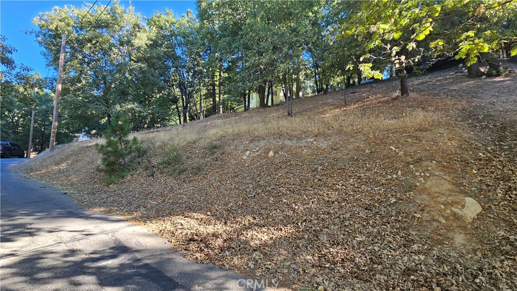 Smiley Park (SMPK) - Land