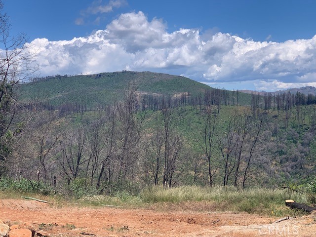 WOW the View! This land has a beautiful view of the Feather River Canyon, that just cant be beat, for this price! Lot is located towards the end of the cul-de-sac, offering almost 4 and half acres with a fire hydrant right near by. Previous footprint offered a 1984 square feet home. Great lower Paradise location near just off Country Club Drive. Condition of septic unknown to Owner. Since these photos were taken, most trees have come down. New photos to follow.