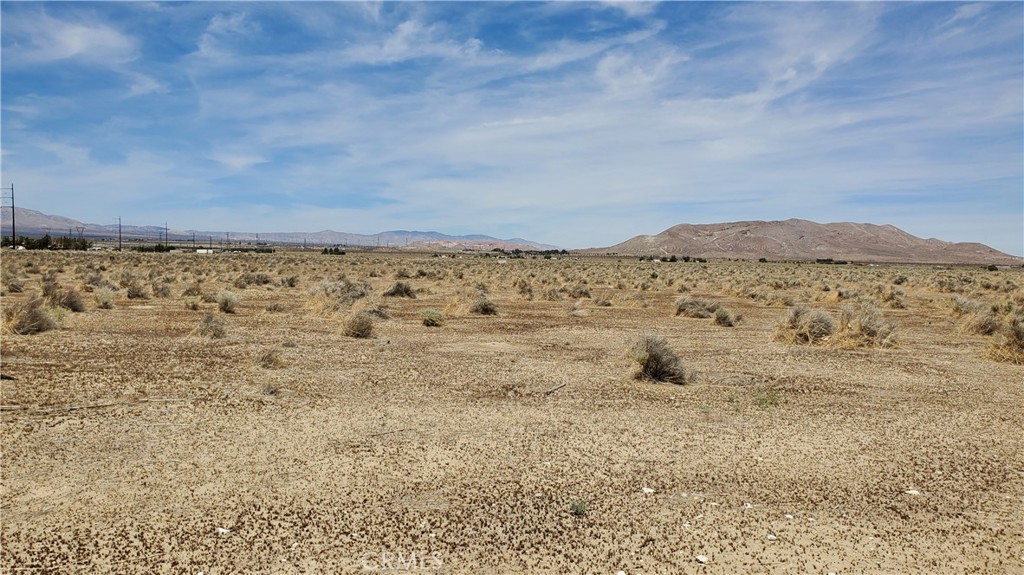 Rosamond parcel, third lot east of paved 100th St West with electric at 100th. 1.11 Acres with level topography. An affordable future homesite! *Buyer to make their own independent investigations regarding Zoning & General Plan Designations, Hazard Zones, Availability & Costs of utilities.